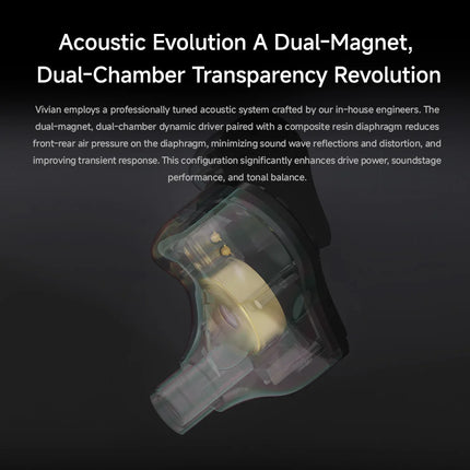 CVJ Vivian 10mm Dual-Magnet Bass IEM Earphones - V-Shaped Sound, Detachable Cable, Anime Faceplate, High Quality