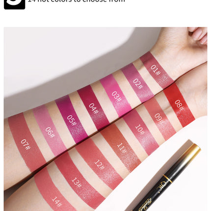 2 IN 1 Lip Liner Waterproof Matte Lipstick Pencil Sexy Red Long Lasting Lipliner Makeup Cosmetics