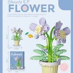 Orchid Potted Blocks / with-box