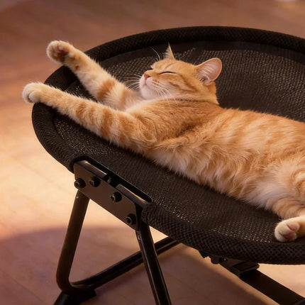Foldable Pet Cot for Cats and Small Dogs, Elevated Dog Bed with Breathable Mesh, Portable Cat Hammock, Removable Washable Cover