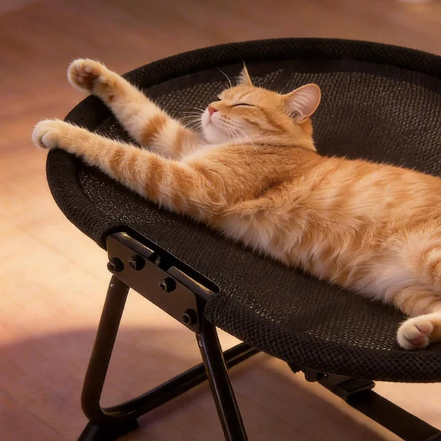 Foldable Pet Cot for Cats and Small Dogs, Elevated Dog Bed with Breathable Mesh, Portable Cat Hammock, Removable Washable Cover