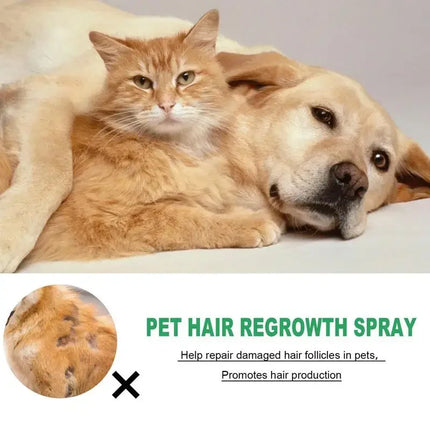 30ml Cat Detangler Spray for Matted Hair Pet Hair Regrowth Spray Cats Comforting Soothing Hair Conditioner Spray Pet Supplies