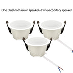 1 BT and 2 Deputy / Speaker