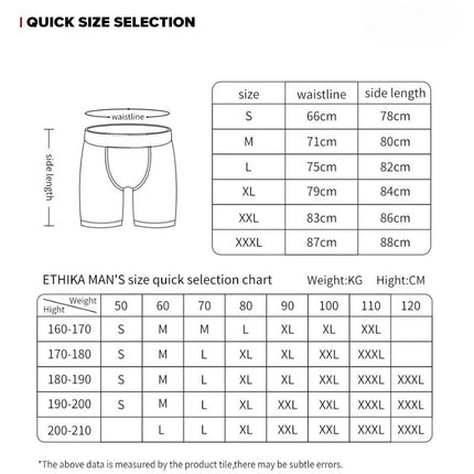 ETHIKA 6Pcs Men Underwear Boxer Breathable Mesh Crotch Man Underpants Plus Size Print Mens Panties Trunks Sexy Men's Boxershorts