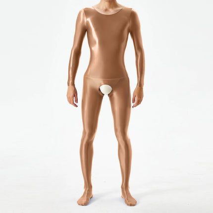 1pc Men Sexy Glossy Bodystocking Long Sleeve Body Jumpsuits Crotchless Bodysuit Ultra-thin Sheer Oily Shiny Underwear