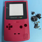 C-Only the shell