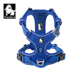 ROYAL BLUE-TLH56512 / S / China Mainland