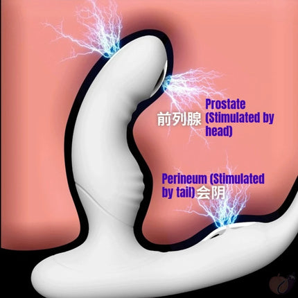 EMS Electric Shock Prostate Massager with Heat Dual Motor Wireless Remote Anal Vibrator Perineum Stimulator Sex Toys for Men