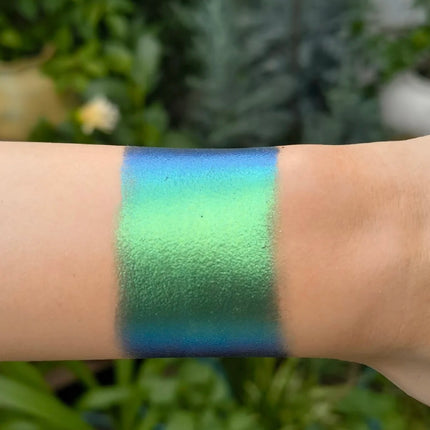 Chameleon Eyeshadow Powder Monochrome Matte Shimmer Metallic Glitter Gothic High Gloss High Colors Fine Flash lasting Eye Makeup