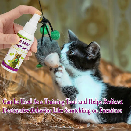 Catnip Spray for Cats, Cat Scratching Spray to Boost Play, Calm Stress & Renew Toys, Transparent Cat & Kitten Behavior Spray 60 ml