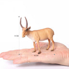 antelope-11