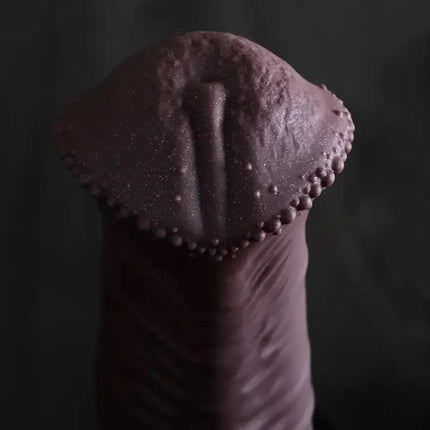 Dildo Horse Dick Anal Plug in Four Colors Noctilucent Butt Sex Toys Prostate G-spot Massager Anal Penetration Men Masturbator 18