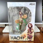 HACAI with box