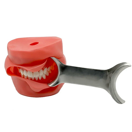 Dental Orthodontic Double Ended Lip and Cheek Retractor for Teeth Whitening Mouth Opening Autoclavable Stainless Steel Tool Set