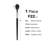 1pc F22
