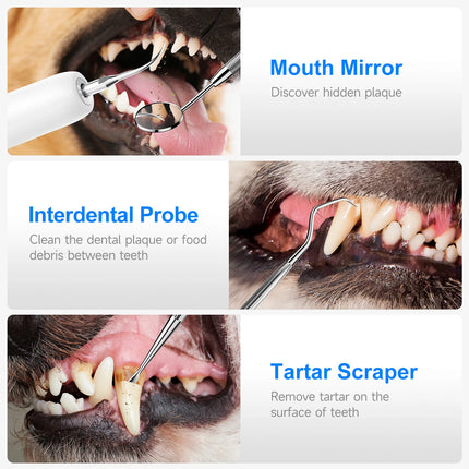 CURVY MOON T5 Pet Use Ultrasonic Tartar Eliminator Tooth Cleaner Dog Cat Dental Scaler Teeth Cleaning Tool for Pet Teeth Health