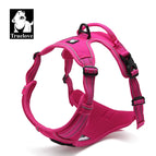 TLH5651-FUCHSIA / M / China Mainland