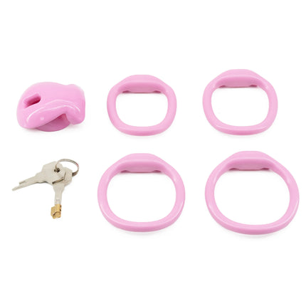 Male Chastity Cage with 4 Size Rings Positive/Negative Chastity Device Sissy Cb Lock Penis Bondage SM Chastity Lock Sex Toys Men