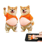 hi