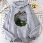 grey1091a / XS