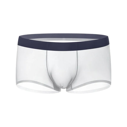 Ice Silk Transparent Boxer Shorts For Man Seamless Ultra-Thin Male Underpants Sexy Quick Dry Bulge Penis Pouch Panties Underwear