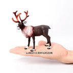 Reindeer A