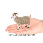 sheep-5