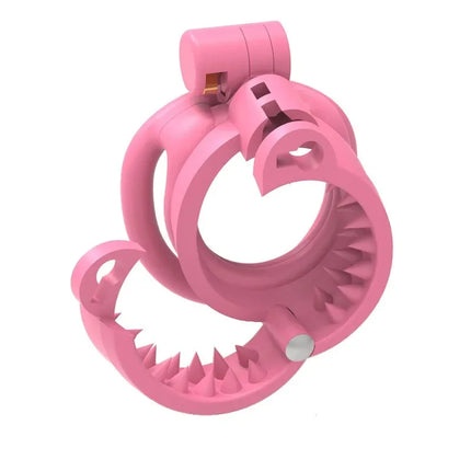 BDSM Train Constraining Toys Adjustable and Detachable Chastity Cage Anti-erection Spiky Device Male Chastity Device Cock Cage