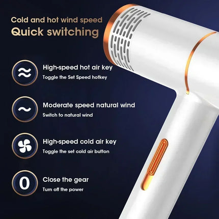 Professional Hair Dryer 110V/220V, Powerful Fast Heating High-speed Styler for Home and Dormitory Salon Use