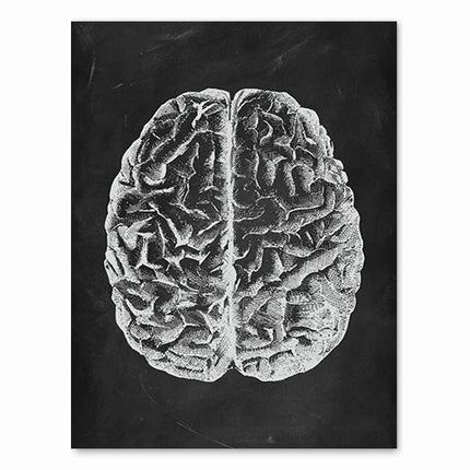 Human Anatomy Artwork Medical Clinic Wall Picture Skeleton Organ Muscle System Vintage Canvas Print Body Education Poster
