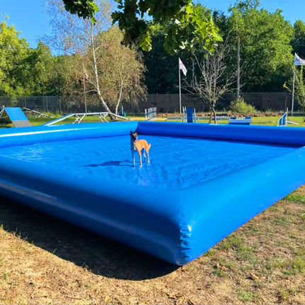 Hot Sale Large PVC Pet Airblow Water Pool Indoor Outdoor Dog Inflatable Swimming Pool for Summer