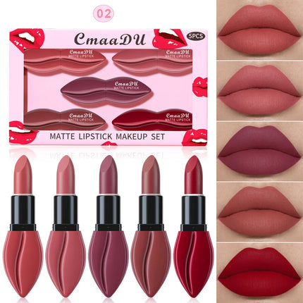 5pcs Matte Lipstick Makeup Set Super Smooth Texture Long Lasting Lipstick Kit High Pigment Sexy Lip Stick with Perfect Gift Box