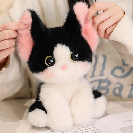 24cm Kawaii Cat Plush Doll Devon Rex Siamese Cat Pet Kitten Plush Toy Cute Decoration Accompany Sleep Toy Birthday Gift