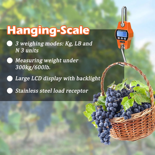 Crane Scale / Balance Suspendue