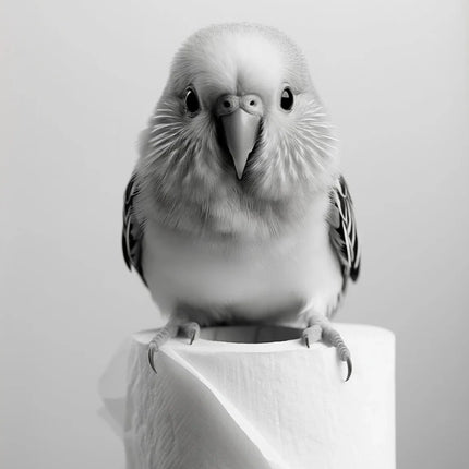 Black and White Cute Animal and Toilet Paper Poster Lion Owl Cat Dog Canvas Painting Wall Art Bathroom Living Room Home Decor