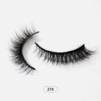 Z18 / China Mainland