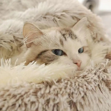 Soft Plush Pet Bed with Cover Round Cat Bed Pet Mattress Warm Cat Dog 2 in 1 Sleeping Nest Cave for Small Dogs Or Cats