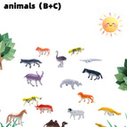 Bc Animal Model