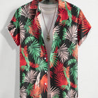 S42CS0050 / 5XL