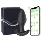 APP Box