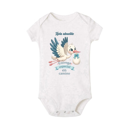 Hello Grandma Special Delivery on The Way Print Baby Romper Pregnancy Announcement Infant Jumpsuit Newborn Short Sleeve Bodysuit