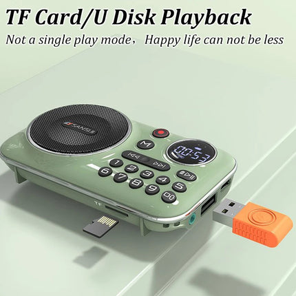 SANSUI F21 Bluetooth Speakers Mini Wireless Portable FM Radio for the Elderly Multifunctional Outdoor TF Card /USB Music Walkman
