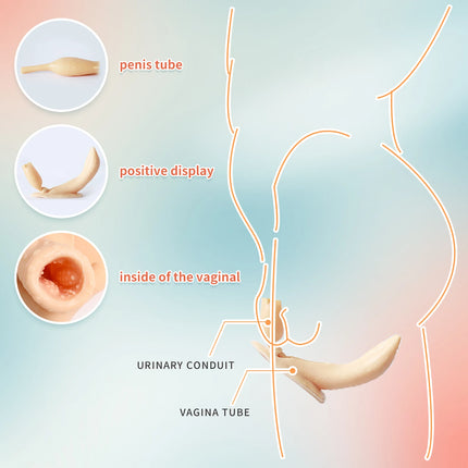 KUMIHO C Cup Full Silicon Bodysuit Silicone Bodysuit Crossdresser Breast Form Transgender Cosplay Artificial Vagina for Men