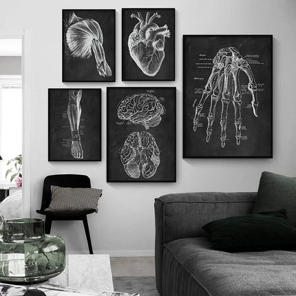Human Anatomy Artwork Medical Clinic Wall Picture Skeleton Organ Muscle System Vintage Canvas Print Body Education Poster