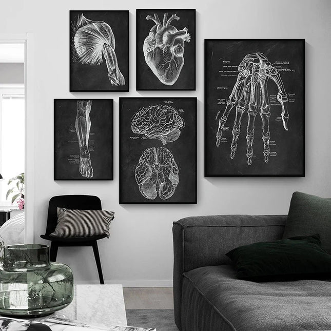 Human Anatomy Artwork Medical Clinic Wall Picture Skeleton Organ Muscle System Vintage Canvas Print Body Education Poster