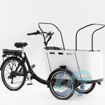 Electric Cargo Bicycle Cargo Bike Used for Family 3 Wheel Bike to Carry Kids