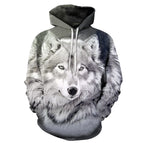 LMXQH2024176R7 / 5XL