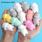 Cat Random  5PCS