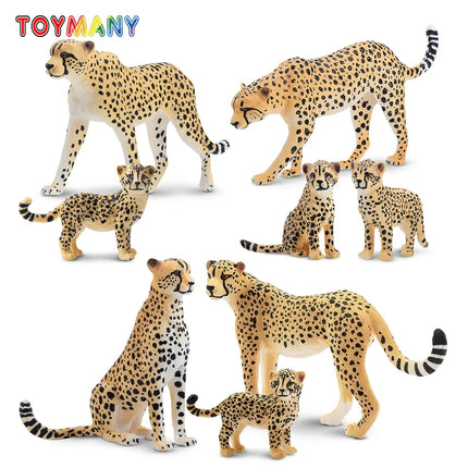 8Pcs Toymany Simulation Cheetah Figures Set Wildlife Animal Model Cake Toppers  Kids Children Gift  Mini Collectible Figurines