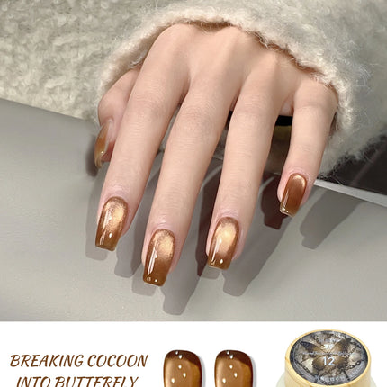 12g Reflective Magnetic Cat Eye Gel Polsih 12 Colors Set Soak Off Varnish Semi Permanent Holographic Cat Eye Gel Nail Art